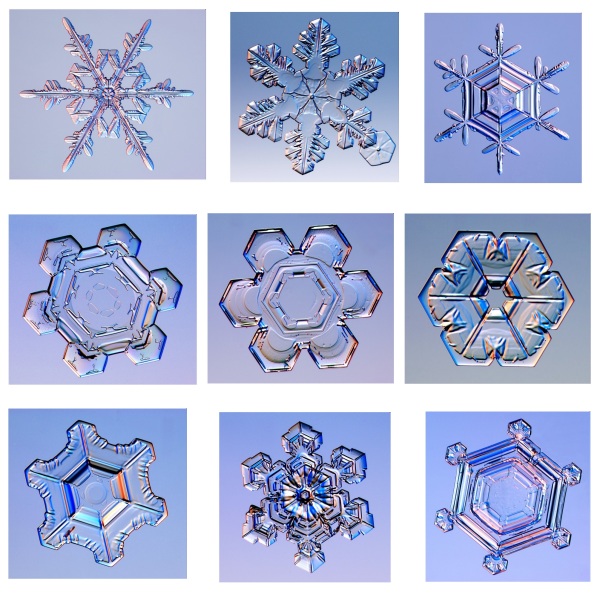 Real snowflakes to copy