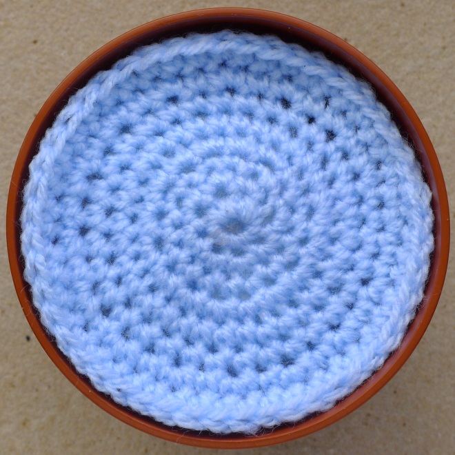 Circle in 9cm pot