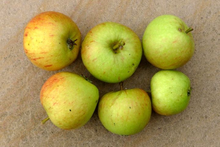 six apples